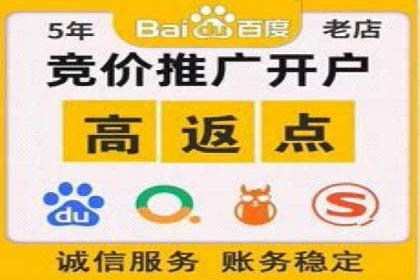 SEM竞价培训：实战案例解析与优化